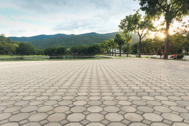 Professional Driveway Pavers in Descanso, CA